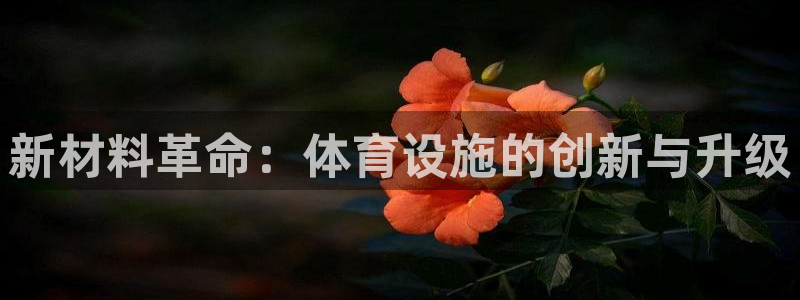 意昂4官方：新材料革命：体育设施的创新与升级