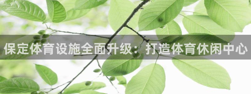 意昂4开户：保定体育设施全面升级：打造体育休闲中心