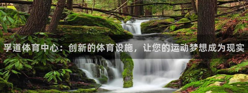 意昂体育4招商电话号码查询：孚道体育中心：创新的体育