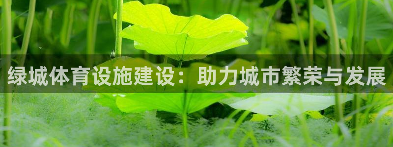 意昂体育4平台注册流程视频：绿城体育设施建设：助力城