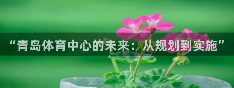 意昂集团官网：“青岛体育中心的未来：从规划到实施”
