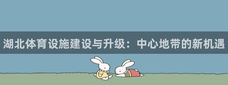 意昂体育4娱乐：湖北体育设施建设与升级：中心地带的新