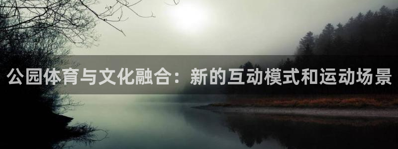 意昂体育4是干嘛的公司：公园体育与文化融合：新的互动
