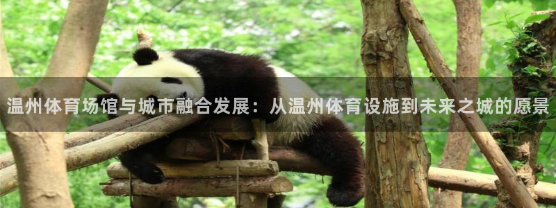 意昂4集团官网首页：温州体育场馆与城市融合发展：从温