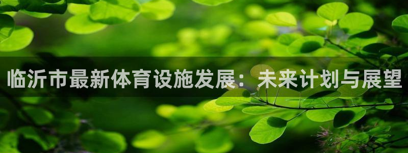 意昂4娱乐平台：临沂市最新体育设施发展：未来计划与展