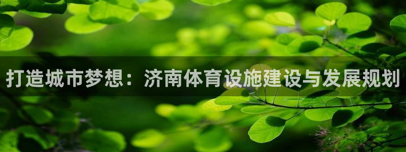 意昂体育4：打造城市梦想：济南体育设施建设与发展规划