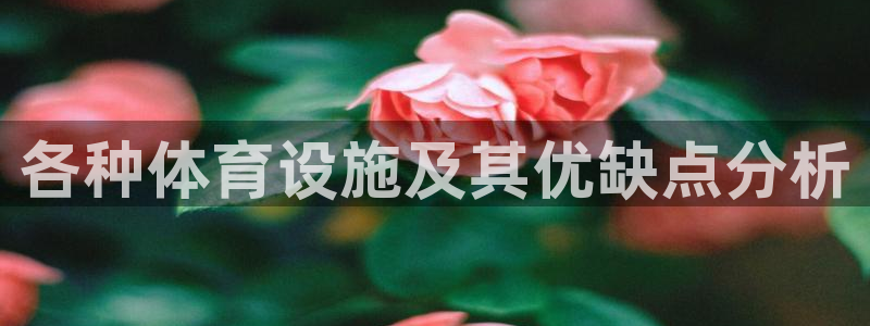 意昂体育4招商电话号码查询：各种体育设施及其优缺点分