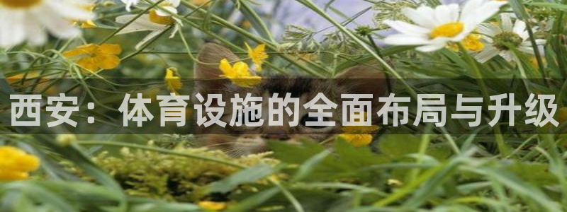 注册意昂4：西安：体育设施的全面布局与升级