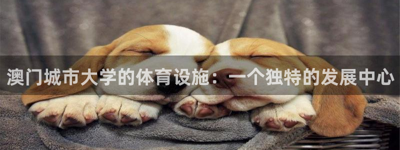意昂平台体育：澳门城市大学的体育设施：一个独特的发展