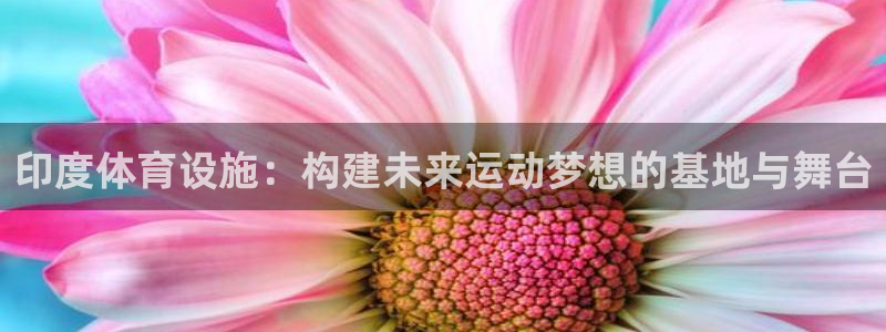 意昂体育4招商电话号码是多少：印度体育设施：构建未来