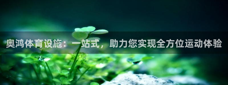 意昂体育4平台假的吗是真的吗：奥鸿体育设施：一站式，