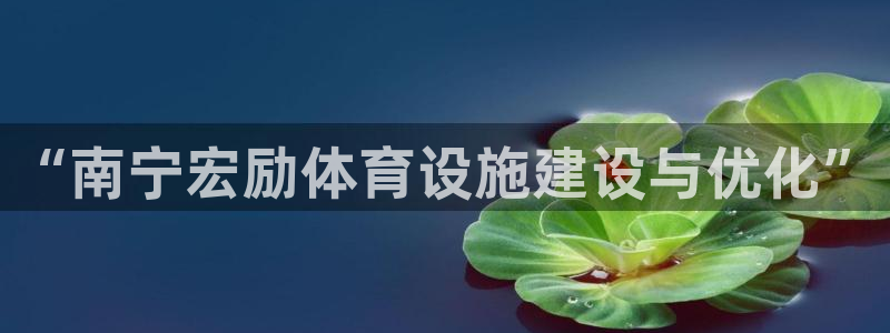 意昂4神州：“南宁宏励体育设施建设与优化”