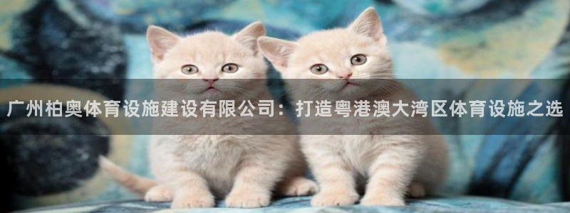 意昂体育4平台注册流程图：广州柏奥体育设施建设有限公