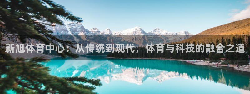 意昂4娱乐是那个系列的台子：新旭体育中心：从传统到现