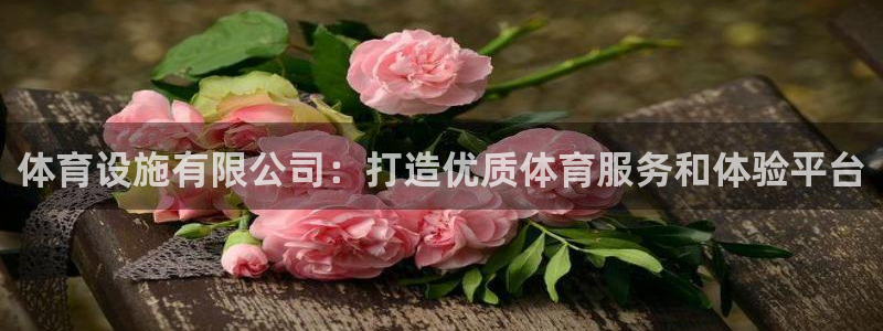 意昂体育4：体育设施有限公司：打造优质体育服务和体验