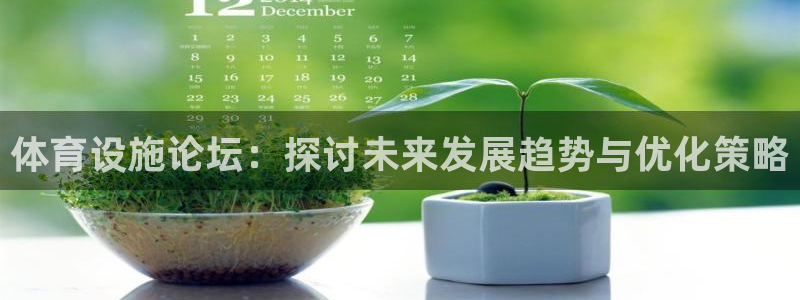 意昂体育4平台注册流程图：体育设施论坛：探讨未来发展