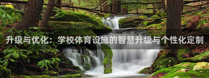 意昂4娱乐首页网站大全：升级与优化：学校体育设施的智