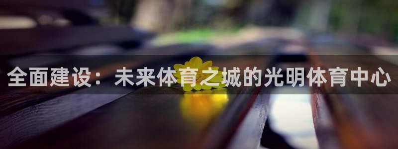 意昂4新能源：全面建设：未来体育之城的光明体育中心
