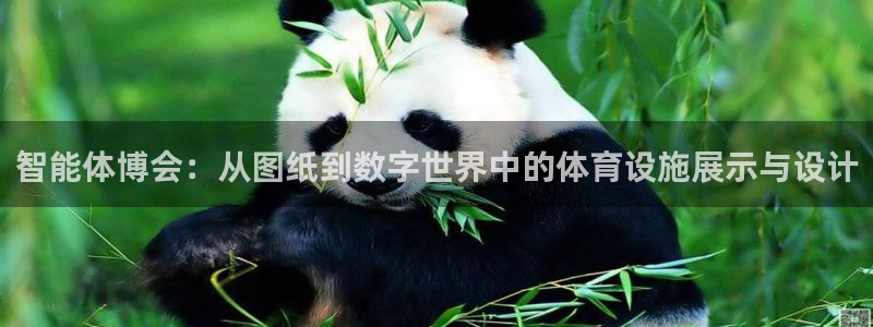 意昂4代理：智能体博会：从图纸到数字世界中的体育设施
