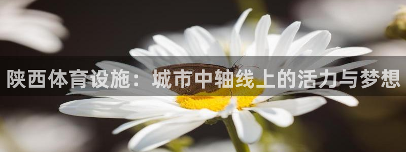 意昂4娱乐代理怎么样：陕西体育设施：城市中轴线上的活力与梦想