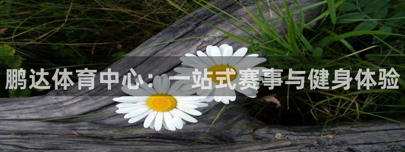 意昂4娱乐是那个系列的台子：鹏达体育中心：一站式赛事