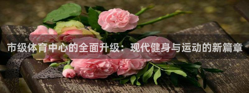 意昂体育4软件：市级体育中心的全面升级：现代健身与运动的新篇