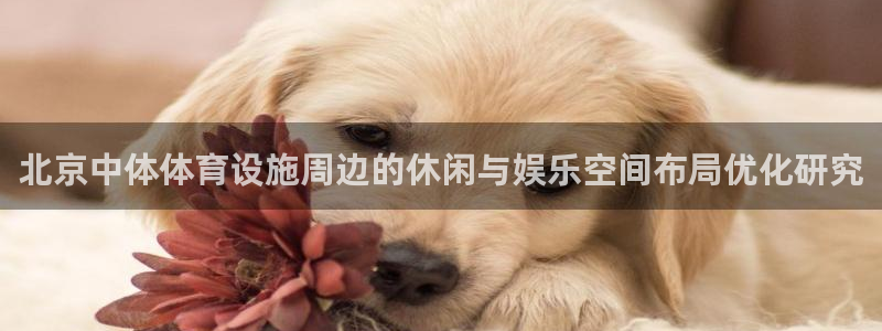 意昂4神州：北京中体体育设施周边的休闲与娱乐空间布局