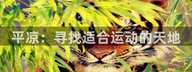 意昂体育4平台注册流程图：平凉：寻找适合运动的天地