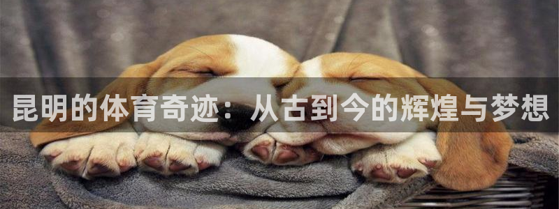意昂体育4注册：昆明的体育奇迹：从古到今的辉煌与梦想