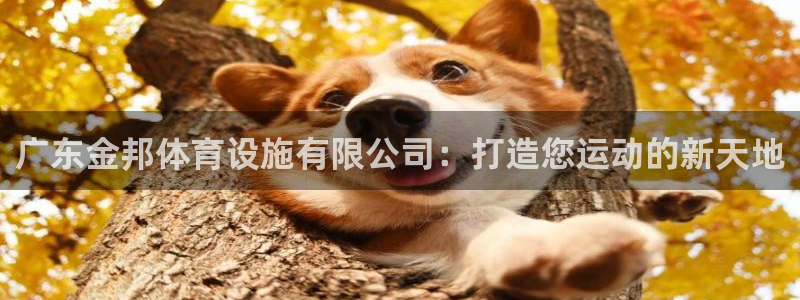 意昂4集团官网网址：广东金邦体育设施有限公司：打造您