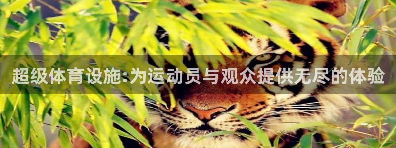 意昂体育4招商电话号码是多少啊：超级体育设施:为运动