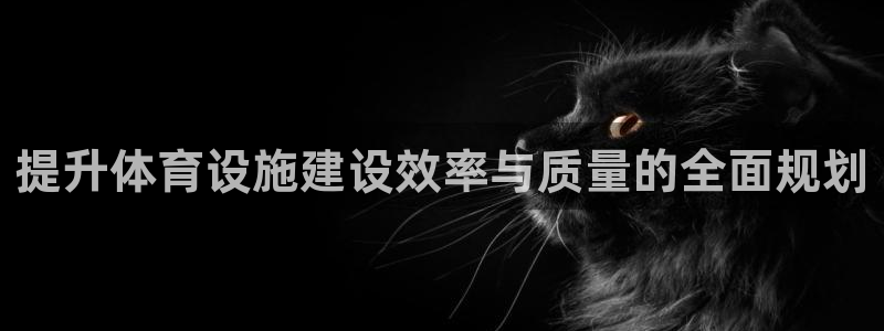 意昂体育4：提升体育设施建设效率与质量的全面规划
