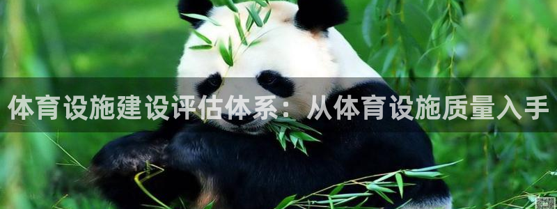 意昂4集团官网网址：体育设施建设评估体系：从体育设施