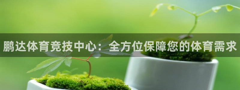 意昂4神州：鹏达体育竞技中心：全方位保障您的体育需求