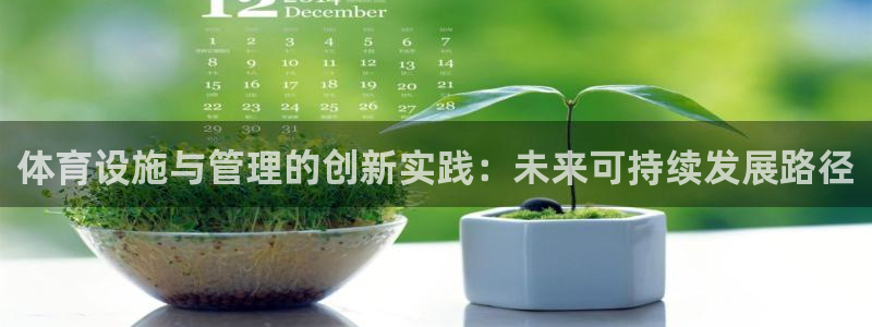 意昂4集团官网首页：体育设施与管理的创新实践：未来可