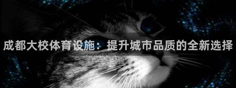 意昂体育4软件：成都大校体育设施：提升城市品质的全新
