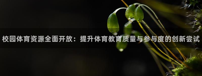 意昂体育4注册：校园体育资源全面开放：提升体育教育质量与参与