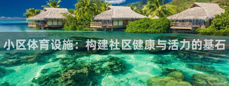 意昂4新能源：小区体育设施：构建社区健康与活力的基石