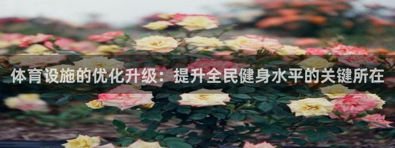 意昂体育4招商电话号码查询是多少：体育设施的优化升级：提升全