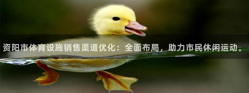 意昂4娱乐代理怎么样：资阳市体育设施销售渠道优化：全面布局，