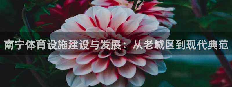意昂体育4联系电话：南宁体育设施建设与发展：从老城区到现代典