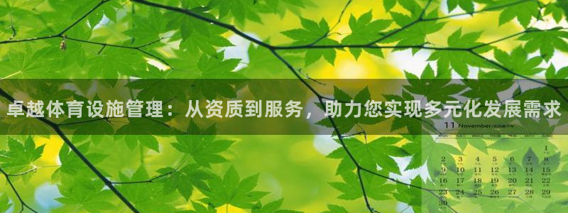 意昂4娱乐下载：卓越体育设施管理：从资质到服务，助力您实现多 