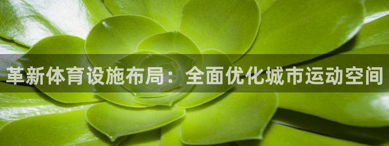 意昂4集团E.ON：革新体育设施布局：全面优化城市运动空间