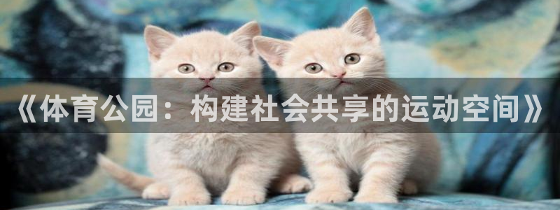 意昂体育4平台注册要钱吗安全吗：《体育公园：构建社会