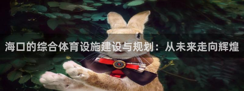 意昂4娱乐：海口的综合体育设施建设与规划：从未来走向辉煌