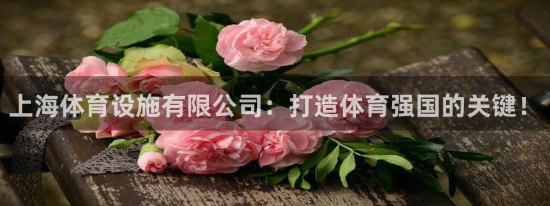 意昂体育4招商电话号码查询是多少：上海体育设施有限公