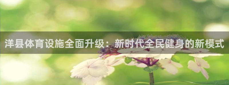 意昂4集团：洋县体育设施全面升级：新时代全民健身的新