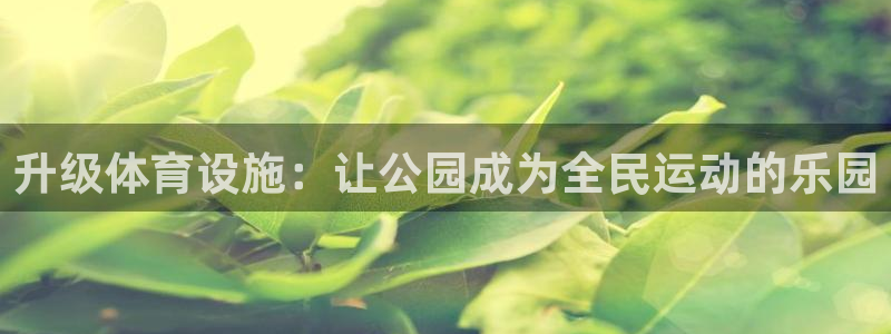 意昂4五金厂：升级体育设施：让公园成为全民运动的乐园