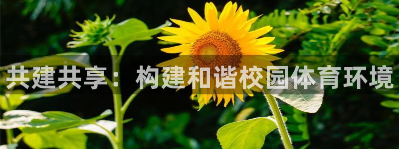 意昂体育4平台注册要钱吗安全吗：共建共享：构建和谐校