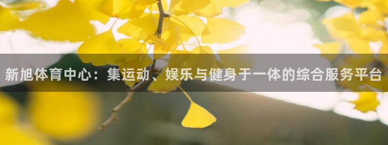 意昂体育4招商：新旭体育中心：集运动、娱乐与健身于一